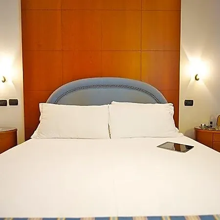 Royal Centro Congressi 4*